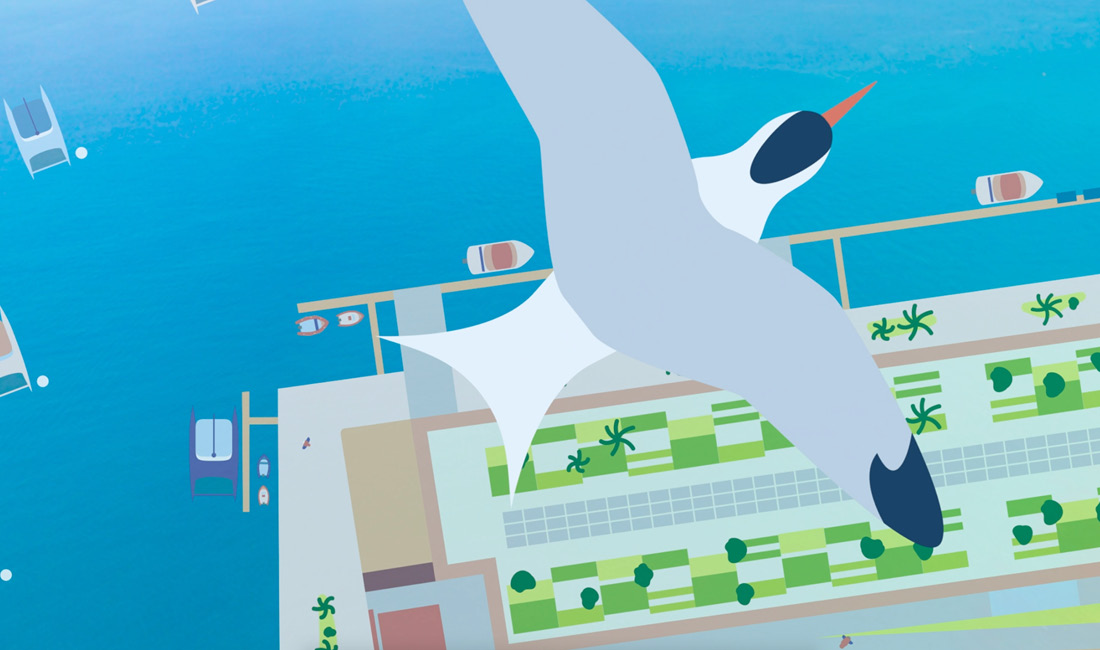 Animation motion design pour le port à sec de Nouméa